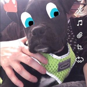 Meet your Posher, Susan